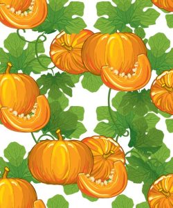 Ripe Pumpkins